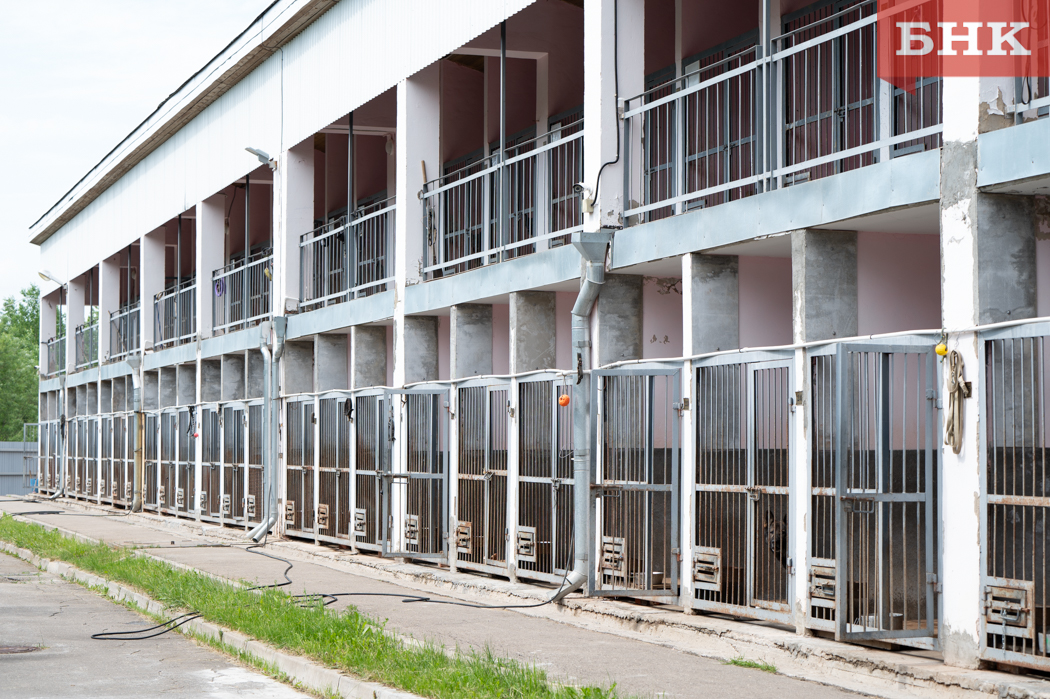 Z06_8066.jpg Z06_8066.jpg