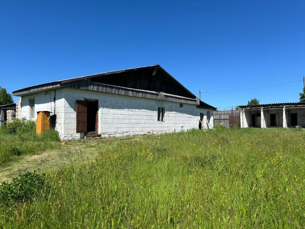 В Емве бывший питомник для служебных собак отремонтируют ради бродячих псов