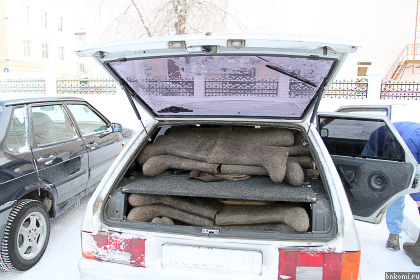 ANT_9312.jpg ANT_9312.jpg