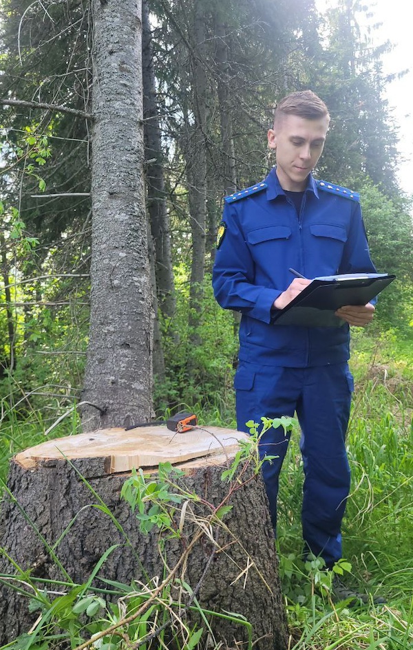 2024-07-04-19.49.38.jpg 2024-07-04-19.49.38.jpg