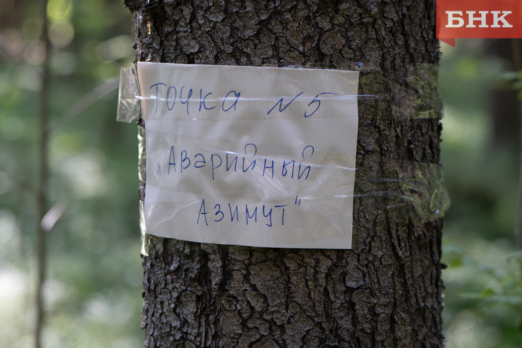 Z06_6910.jpg Z06_6910.jpg