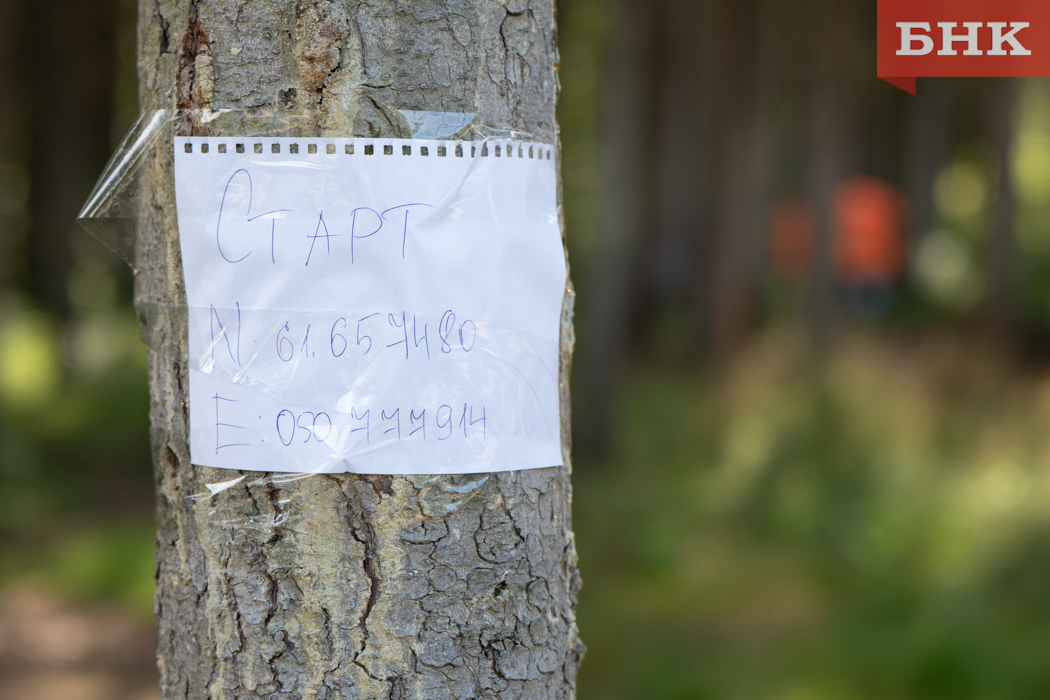 Z06_6914.jpg Z06_6914.jpg