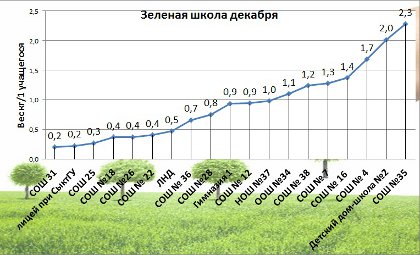 зеленая школа декабря.jpg зеленая школа декабря.jpg