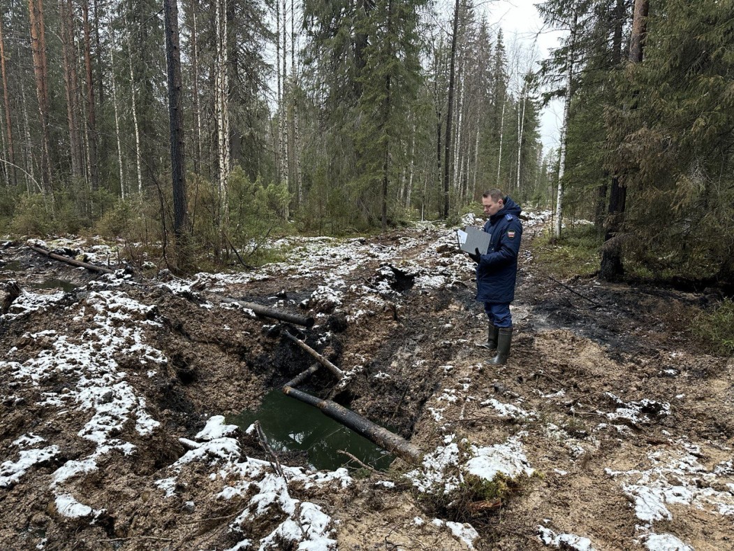 Подтверждены нарушения промбезопасности на месте нефтеразлива в Троицко-Печорском районе