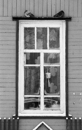 Uf8E_X434Z8.jpg Uf8E_X434Z8.jpg