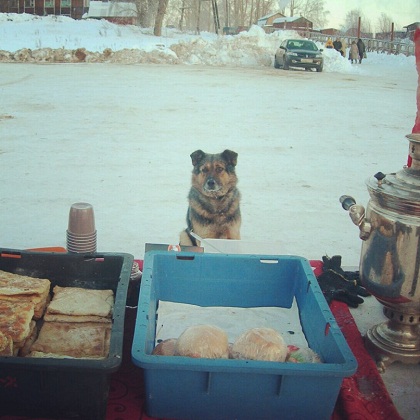 Ha9kG6LjpE0.jpg Ha9kG6LjpE0.jpg