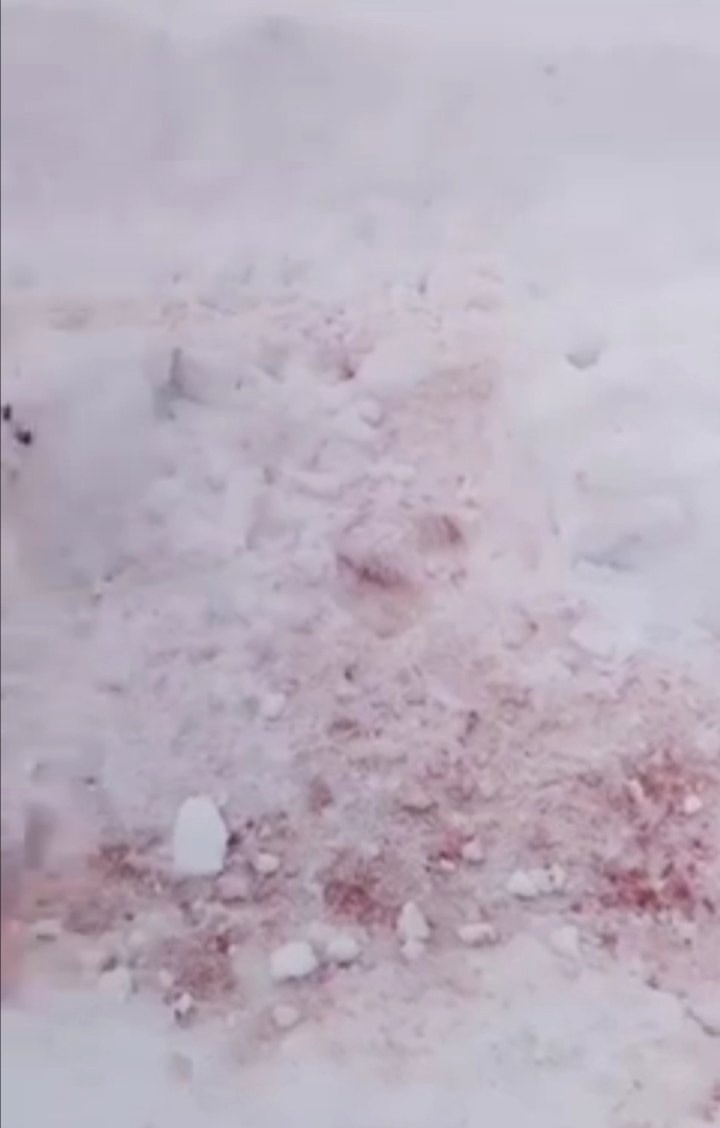 ZIZFfUbXAzM.jpg ZIZFfUbXAzM.jpg