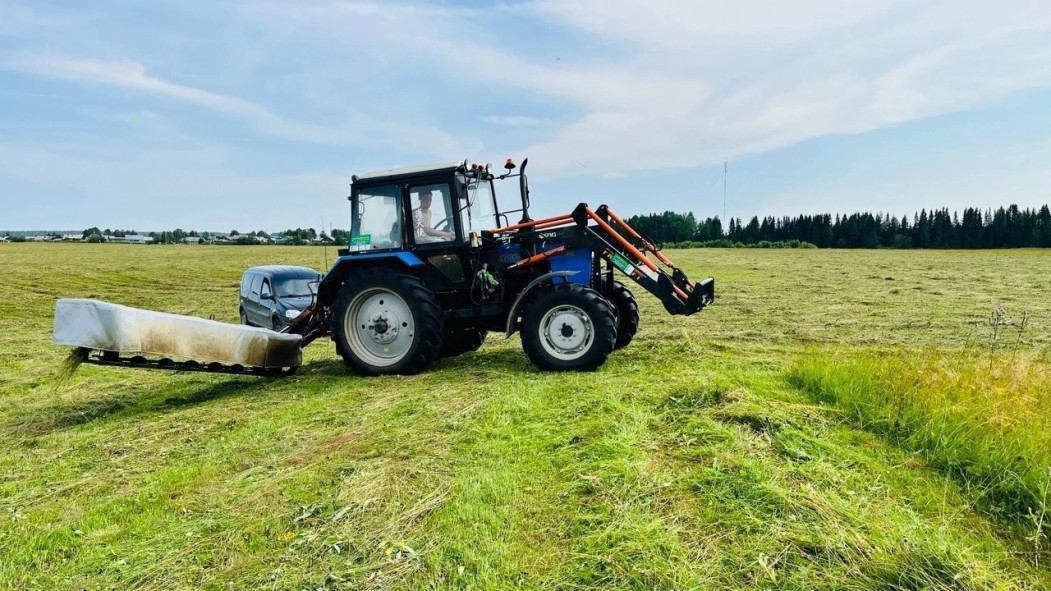 Благодаря грантам на развитие семейных ферм хозяйство Виктора Томилова стало одним из крупнейших в Усть-Цилемском районе