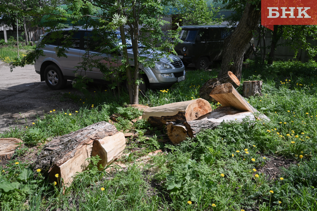 Z06_0446.jpg