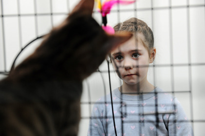 DSC_9014.jpg DSC_9014.jpg