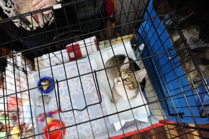 DSC_9061.jpg DSC_9061.jpg