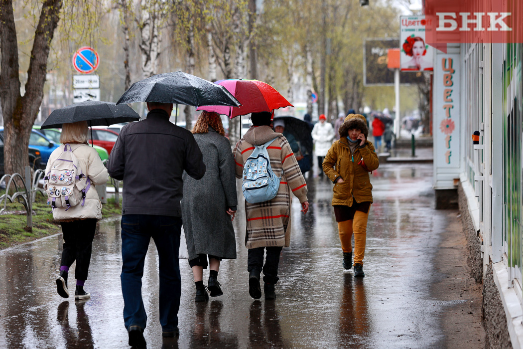 В Коми прогнозируют дожди и грозы