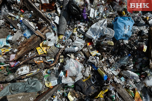 В Республике Коми по предписанию Управления Россельхознадзора ликвидирована свалка