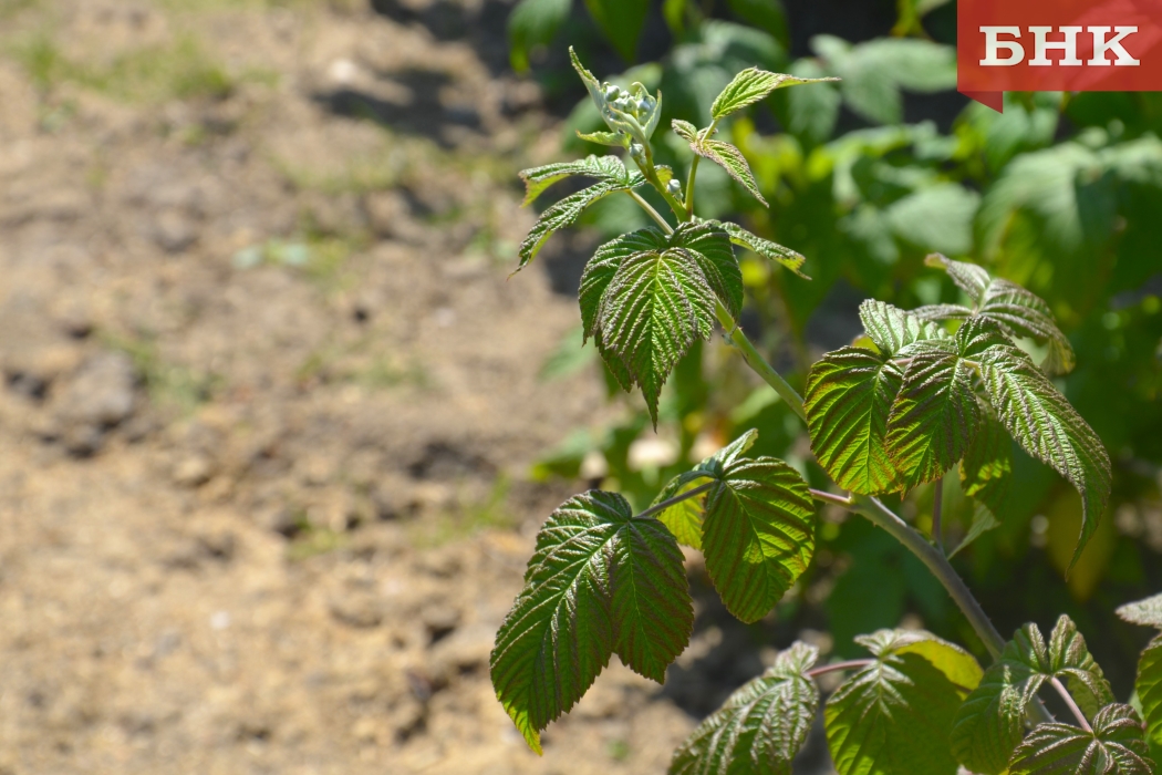 DSC_0355.jpg DSC_0355.jpg