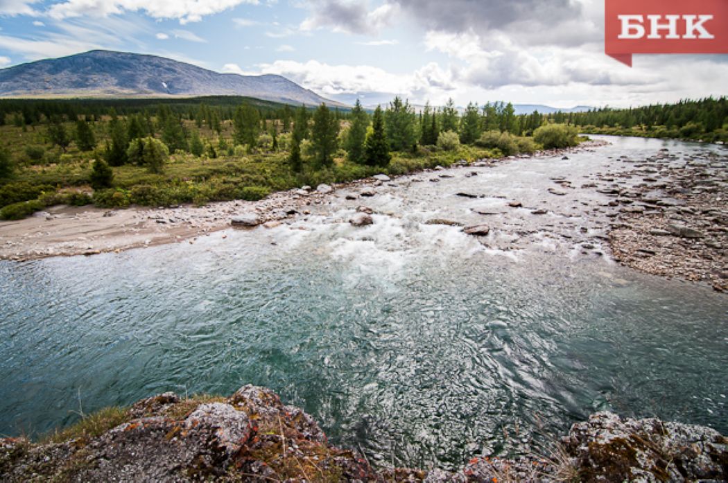 Реки Вычегда, Уса, Ижма и Ухта в Коми стали грязнее