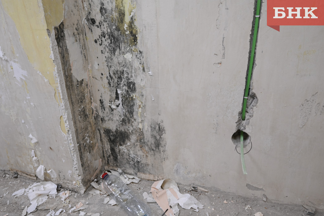 Z06_0193.jpg Z06_0193.jpg