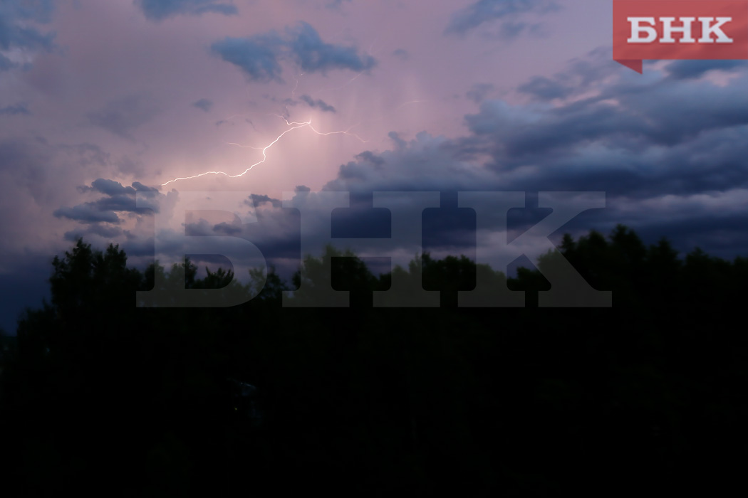 Жителя Усть-Цилемского района убила молния