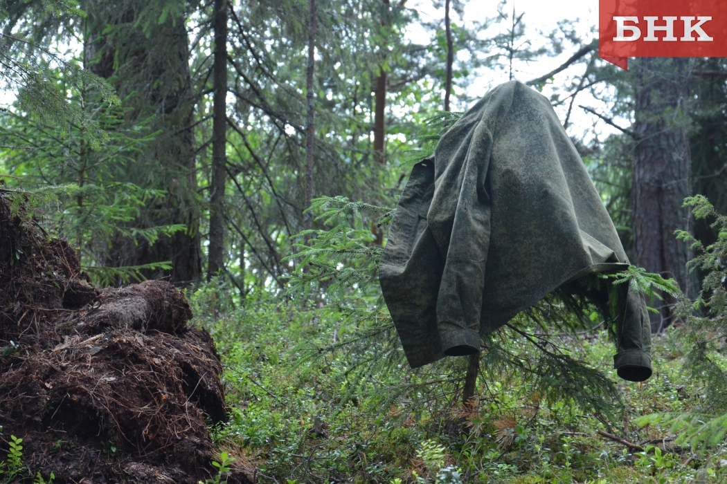 Раскрыта загадка комариного выбора: почему одни страдают от укусов больше других