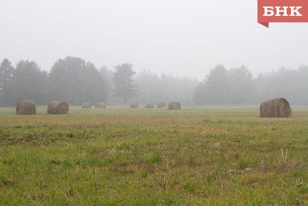 В Коми прогнозируют дожди и грозы