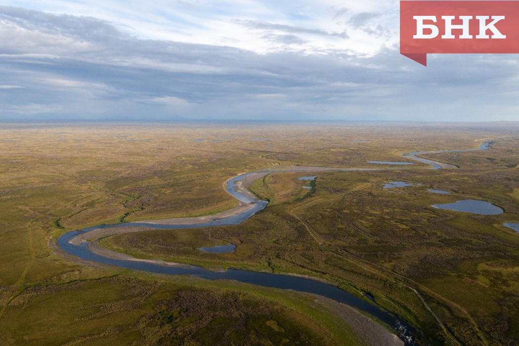 112A4174_compressed.jpg 112A4174_compressed.jpg