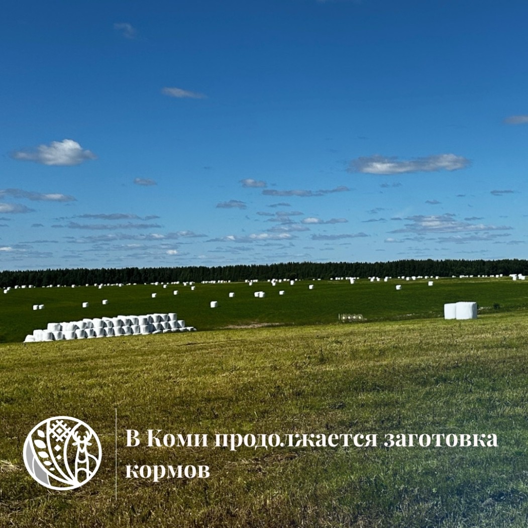 В Коми заготовка кормов приближается к достигаемым показателям