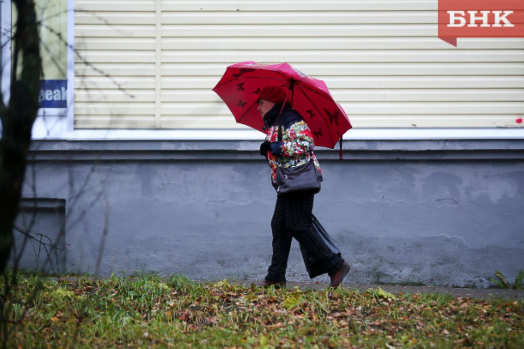 Синоптики предупредили о сильных дождях в восьми муниципалитетах Коми