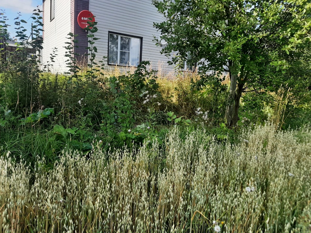 Bez-zabora.jpg Bez-zabora.jpg