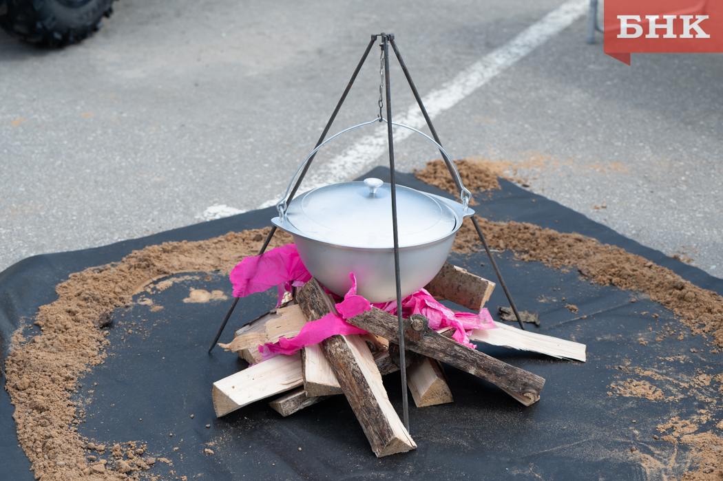 В Коми снизилось число лесных пожаров