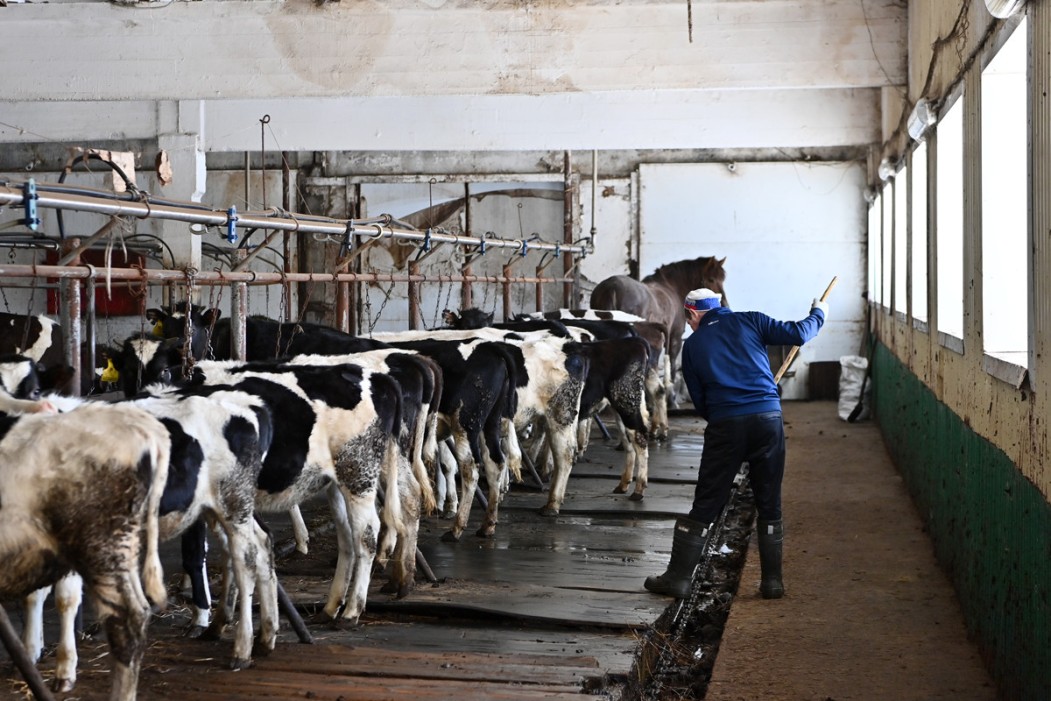 В Инте объединят животноводческие предприятия