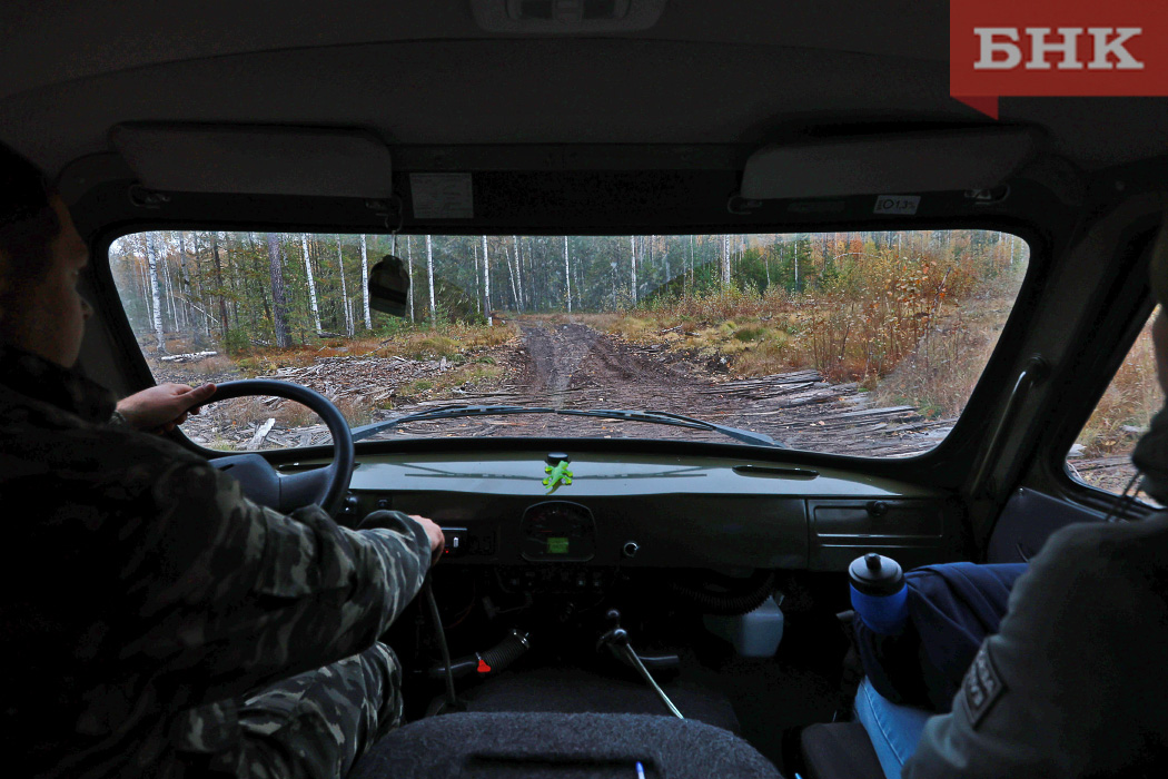 В заказник «Белоборский» придут с рейдом после сообщения о стрельбе по уткам