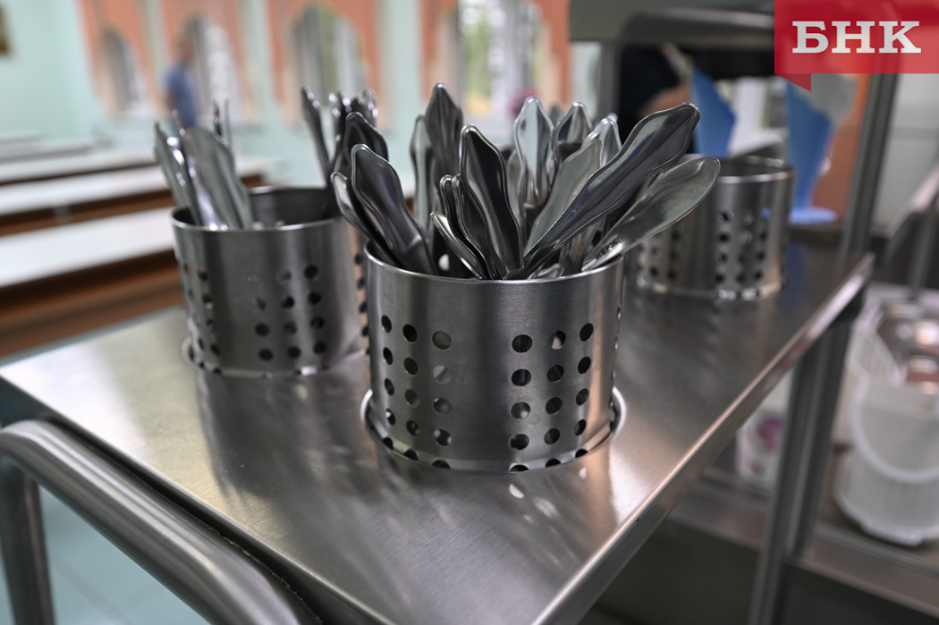 СКР и прокуратура начали проверки из-за вспышки сальмонеллеза в Усть-Куломе