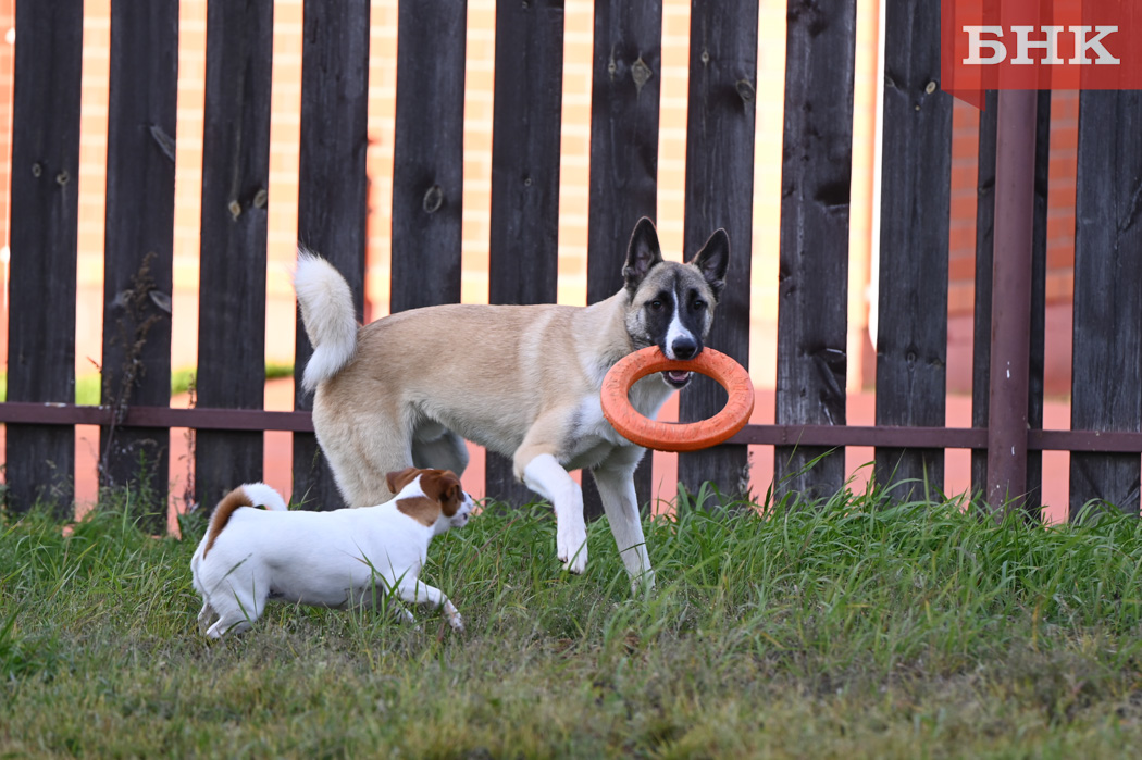 Z06_0015.jpg Z06_0015.jpg