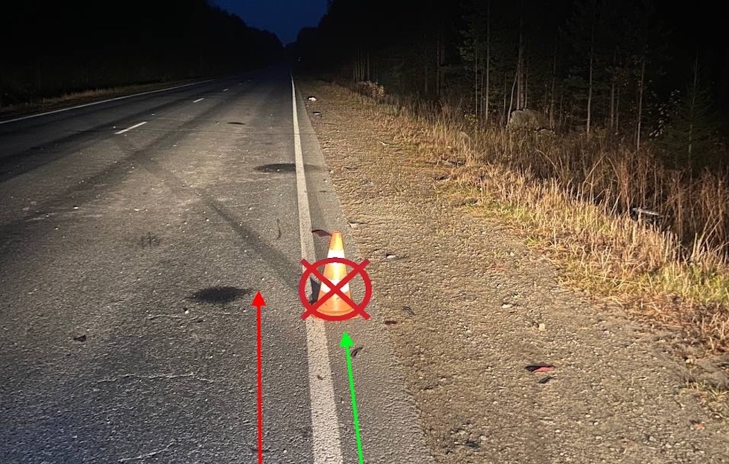 В Сыктывдинском районе ночью сбили велосипедиста