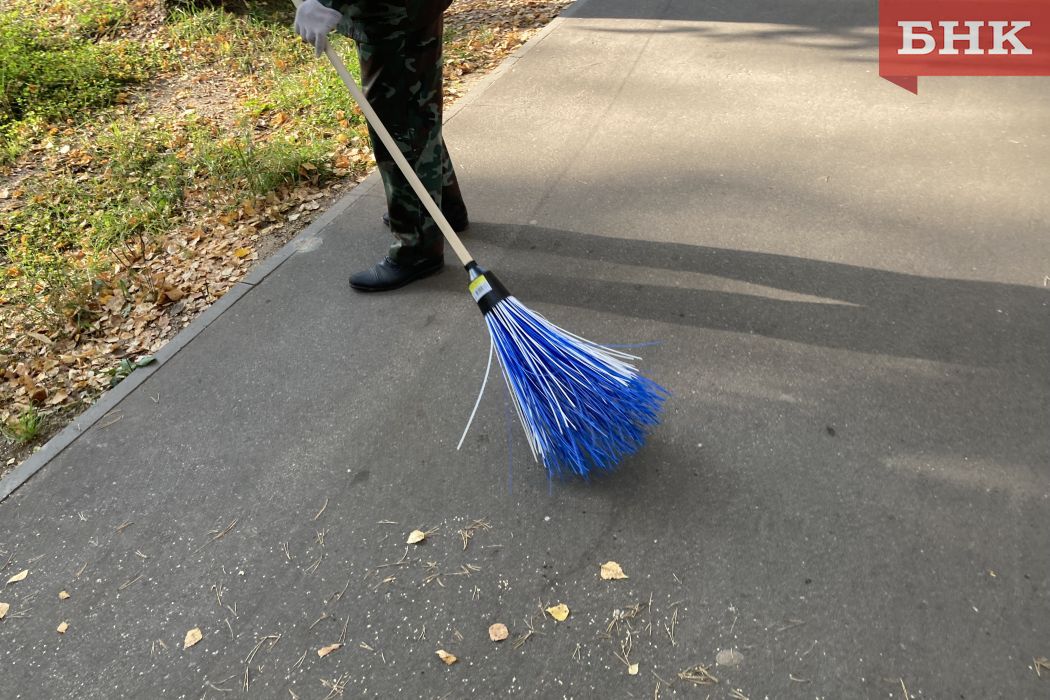 Суд отправил «ленивого» мошенника из Кылтово в колонию