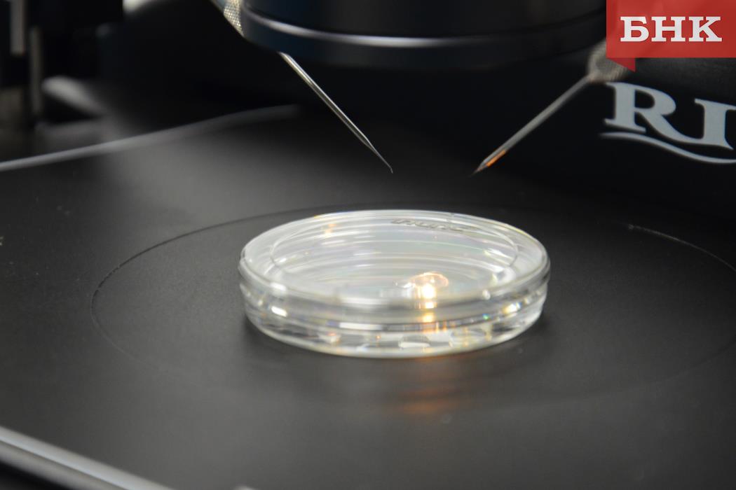 «Мужская комната», хетчинг и ИКСИ: как в Коми перинатальном центре делают ЭКО