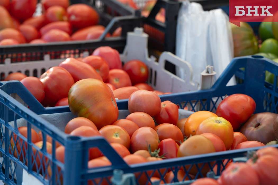 За неделю в Коми подорожали помидоры, корвалол и проезд в автобусе