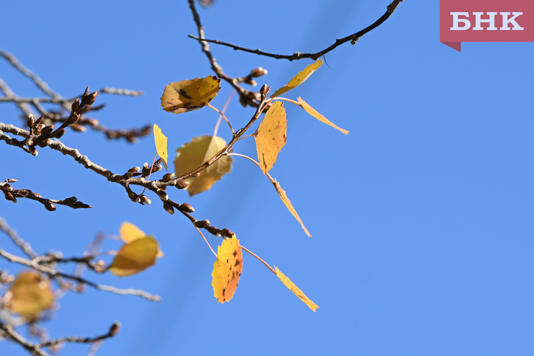 На юге Коми будет без осадков