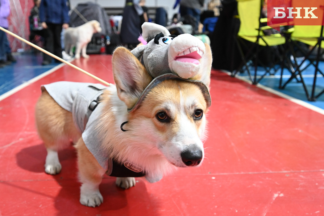 Z06_0119.jpg Z06_0119.jpg