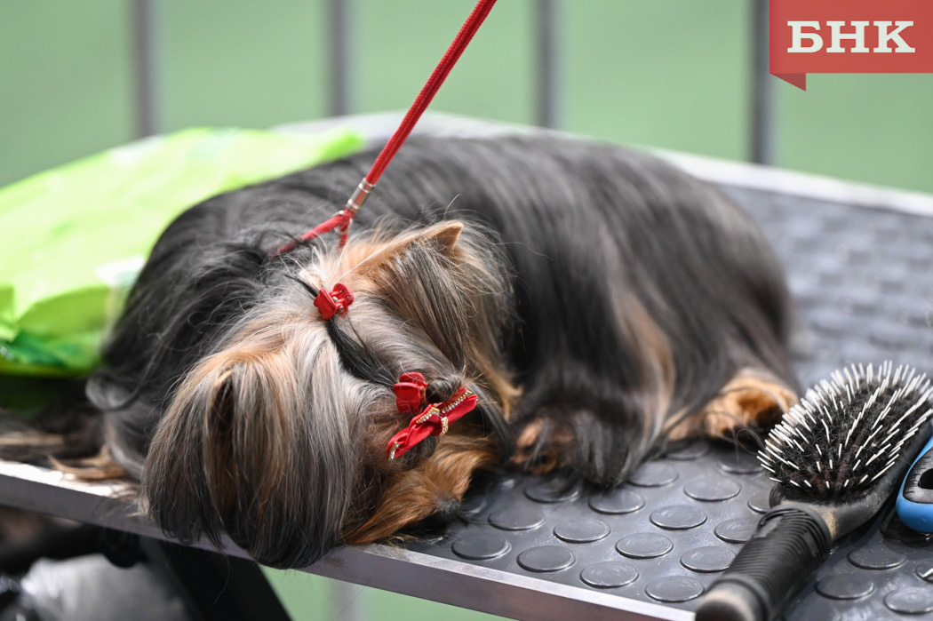 Z06_0123.jpg Z06_0123.jpg