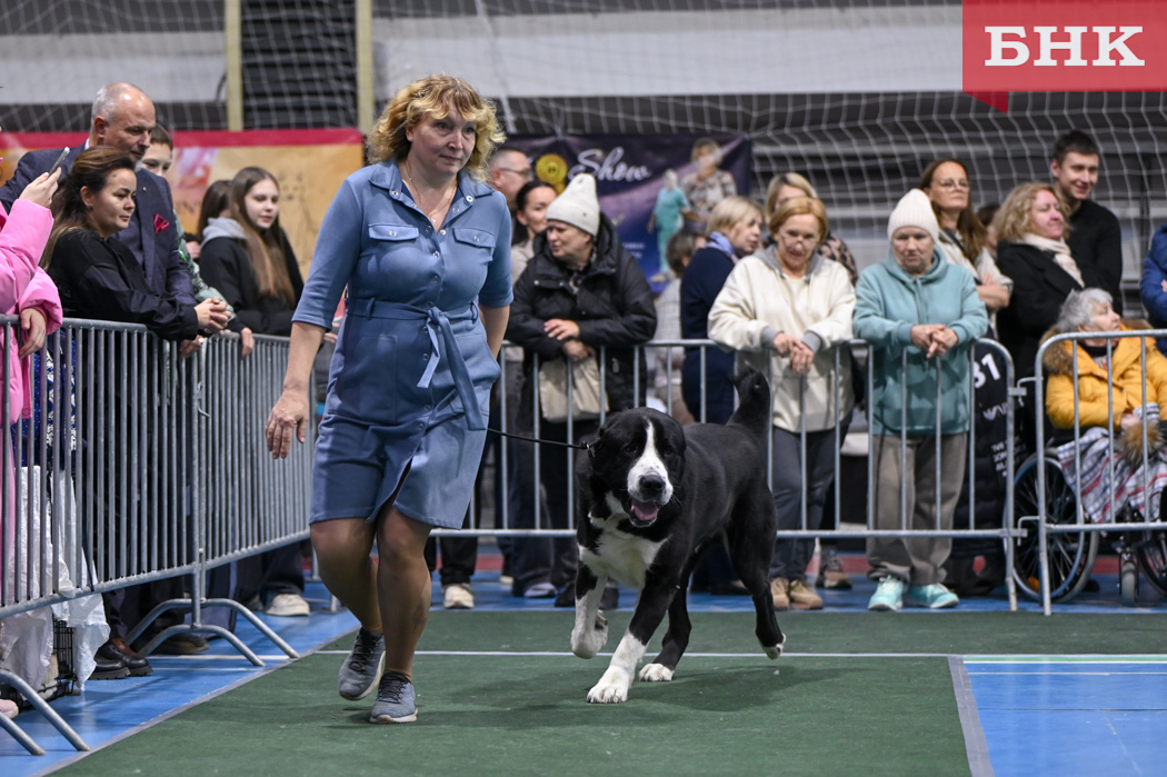 Z06_0450.jpg Z06_0450.jpg