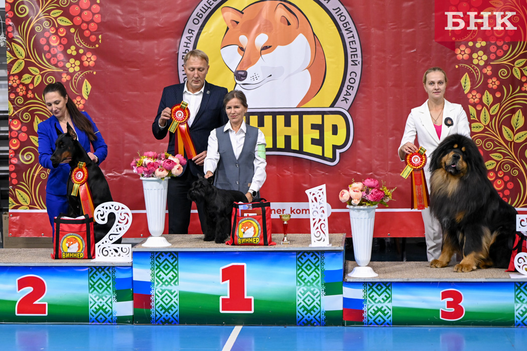 Z06_0563.jpg Z06_0563.jpg