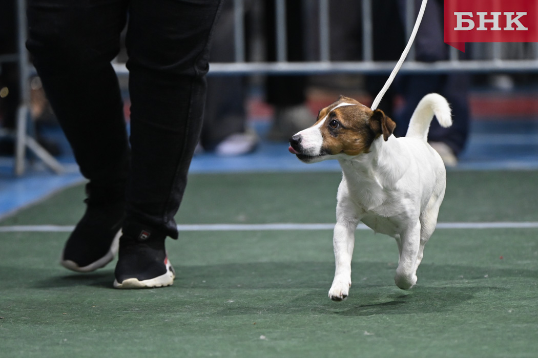 Z06_0576.jpg Z06_0576.jpg