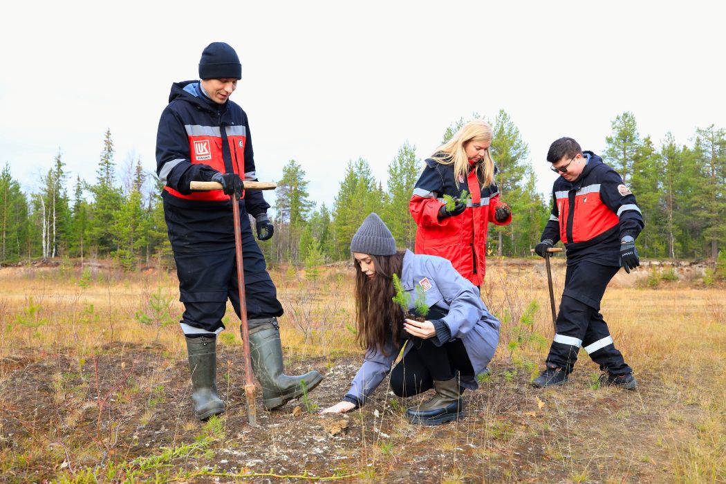 Экологи ЛУКОЙЛ-ПЕРМИ высадили около полутора тысяч молодых елей