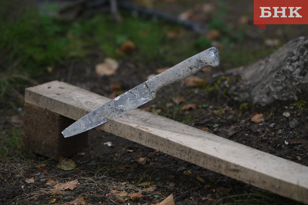 Пенсионера из Сыктывдинского района отправили на принудительное психиатрическое лечение