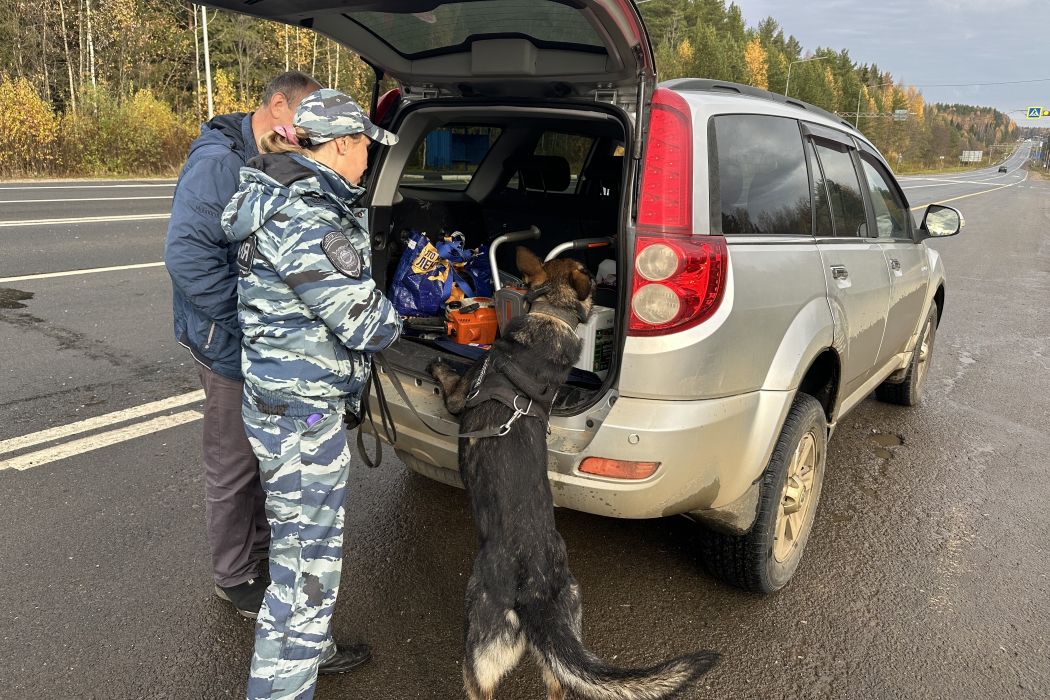 Во время дорожных рейдов в автомобилях жителей Коми нашли оружие и наркотики