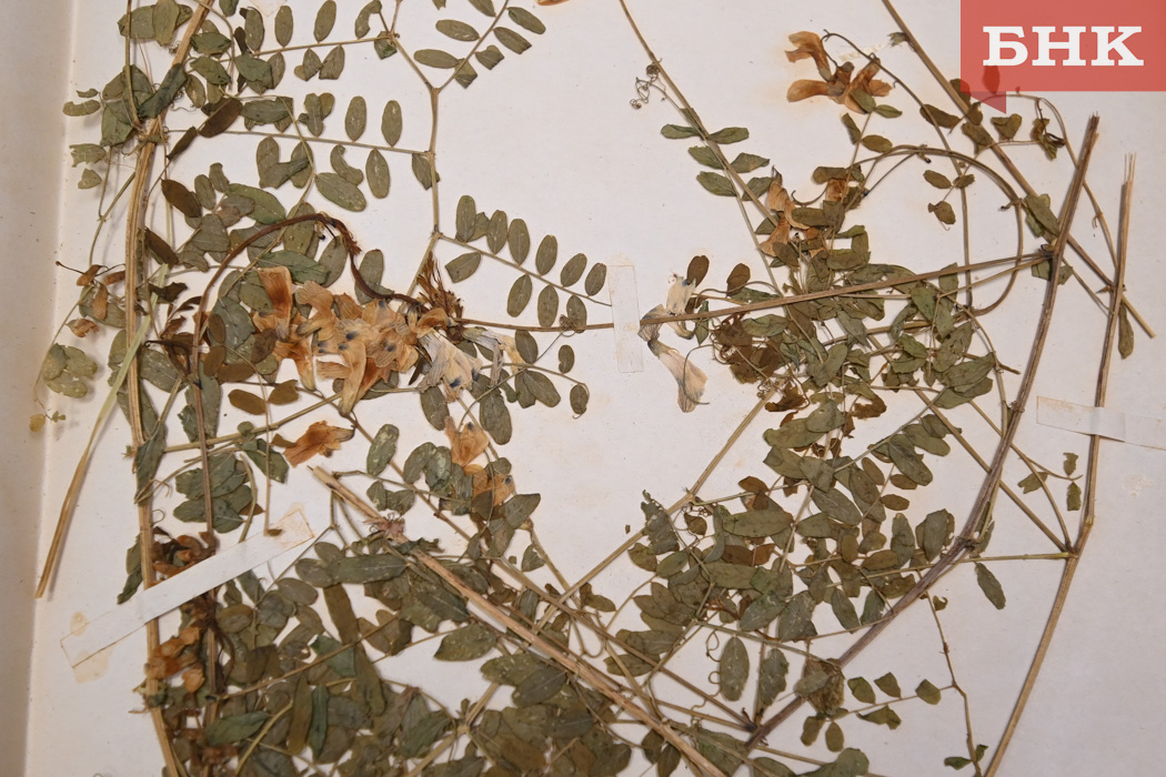 Z06_0110.jpg Z06_0110.jpg