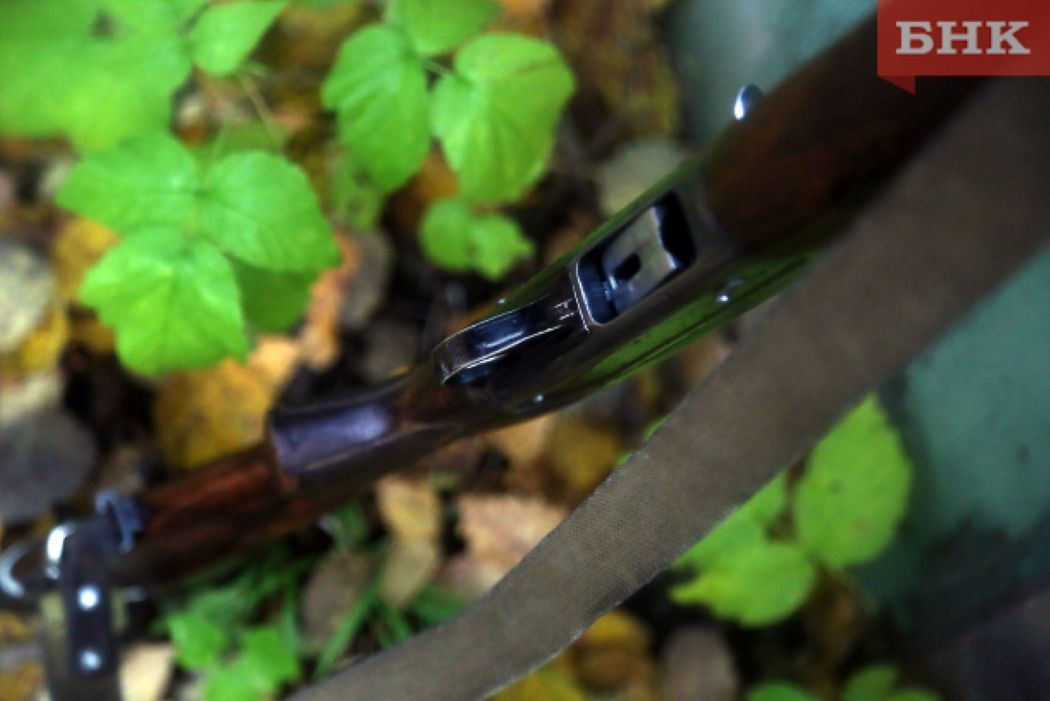 Жительница Удорского района вместе с ружьем «подарила» знакомому уголовное дело