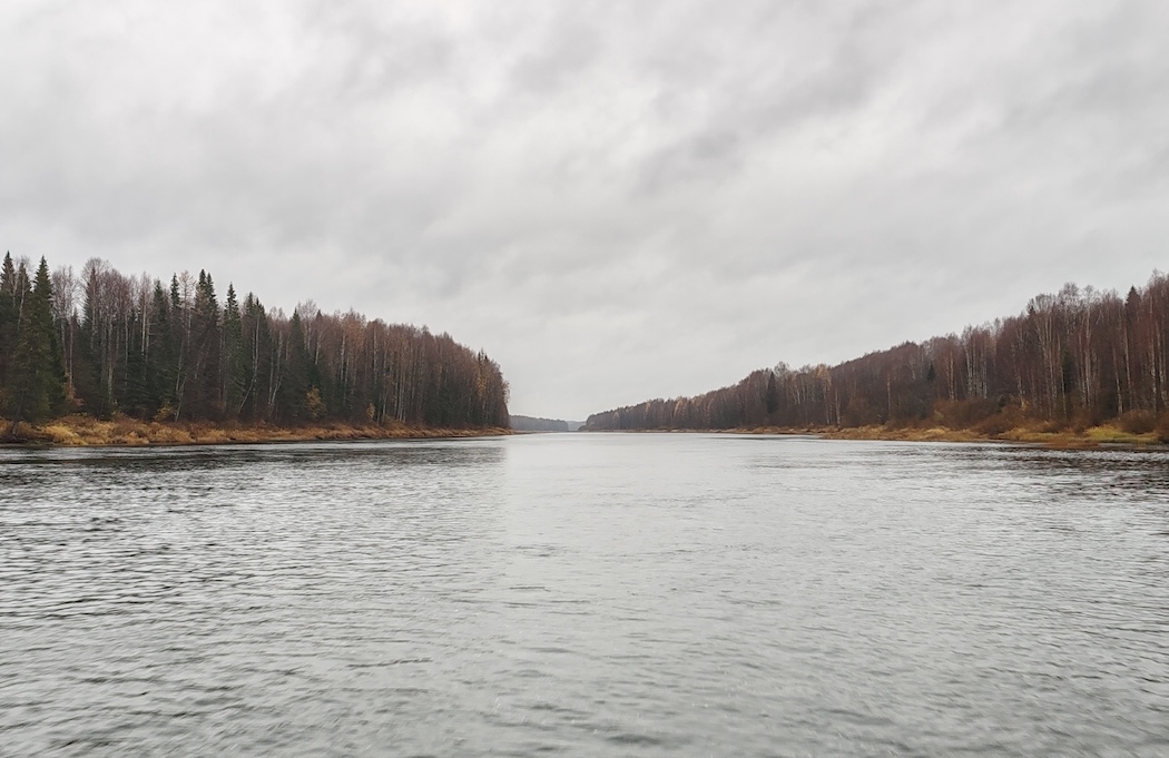 На реке Вымь у рыбаков изъяли запрещенные предметы