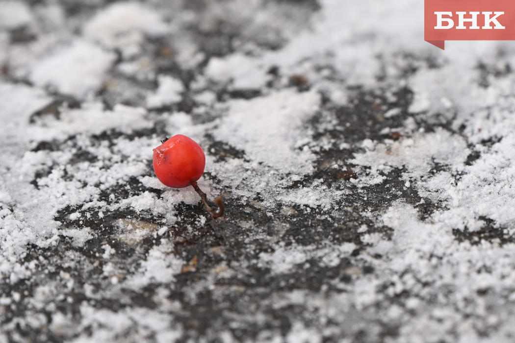 Порывистый ветер и небольшой снег прогнозируют в Коми