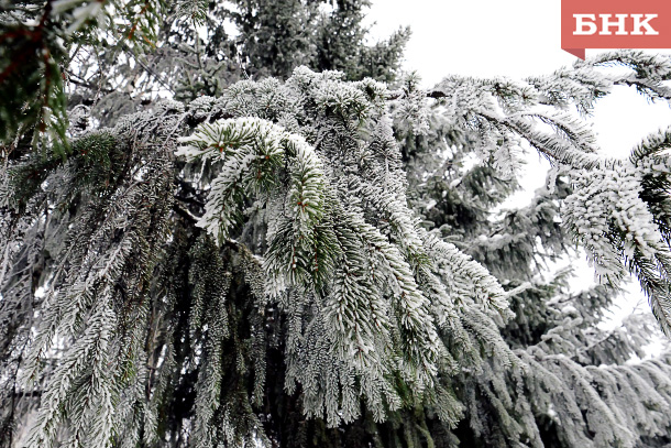 В Коми прогнозируют снег и южный ветер